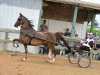 13-dragonsmeade_oberon_0820-jpg