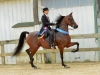 13-ledyards_donatella_0106-jpg