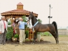 13-ledyardseduardo_5237-jpg