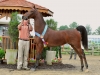 13-lps_endless_love_4469-jpg