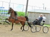 13-moetall_8401-jpg
