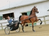13-portfolio_7416-jpg